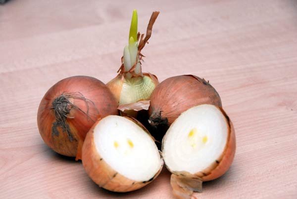 Regimul alimentar şi de viaţă al bolnavilor de ascită 101506