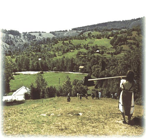 Buciumul sună cu jale 101560