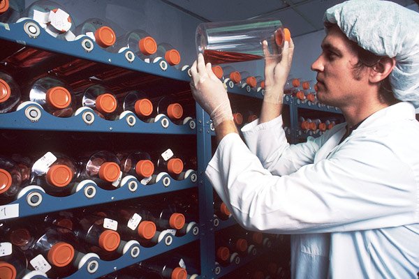 Speranţa restaurării vederii 101653