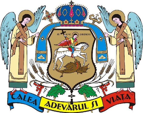 Hotărâre definitivă şi irevocabilă 101798