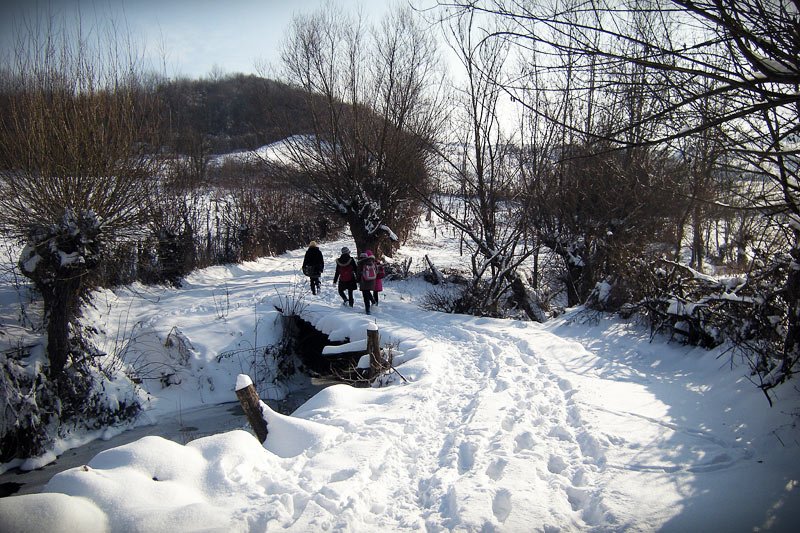 Copiii satelor româneşti şi visele lor arestate 101821