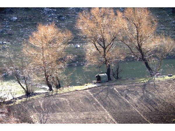 Frumuseţea creaţiei, mascată de modernitate 101851