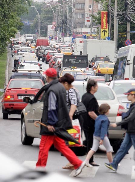 Nervi la volan 101923