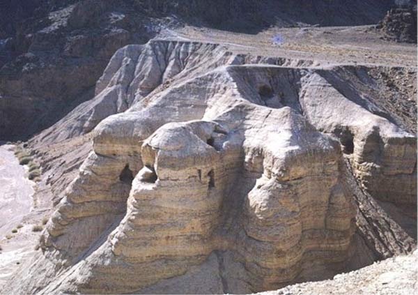 Chitim şi interpretarea proteică 102041