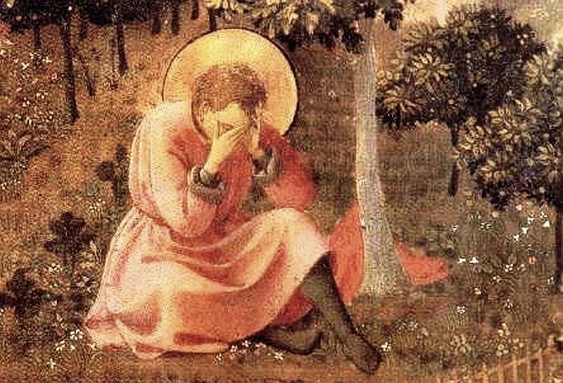 Fascinaţia lui Augustin 118686