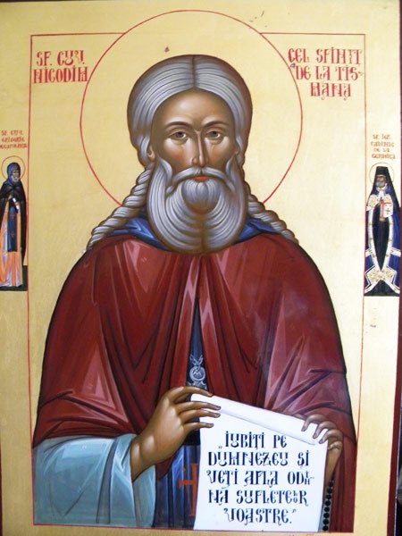 Cuviosul Nicodim a trecut cu rugăciunea peste Dunăre 102648