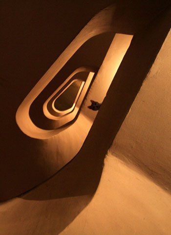 Medicina regenerativă, în căutarea nemuririi omului 103051