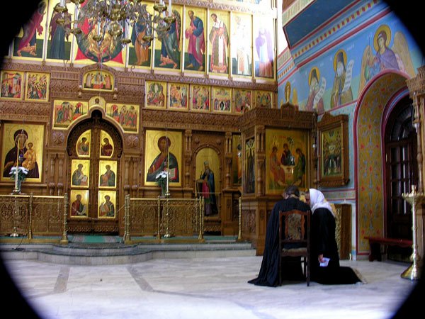 Preotul - terapeutul prin excelenţă 103499