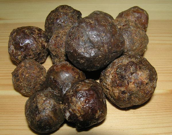 Propolisul, un „medicament“ eficient în tratarea rinitelor 103773