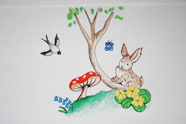 Ciupercuţa şi povestea ei 103870