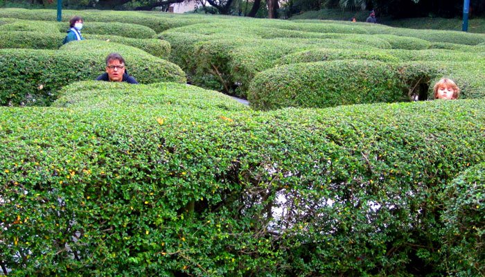 Semne neobservate ale unor boli sufleteşti 103966