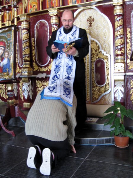 Salvator al sufletelor căzute 104355