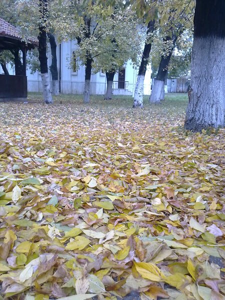 Laicitate şi căutarea sfinţeniei 104489