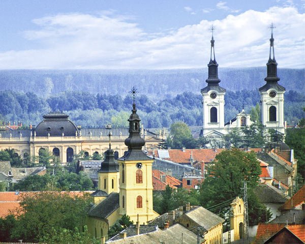 Vocaţia teologică a tânărului Anastasie Şaguna 104612