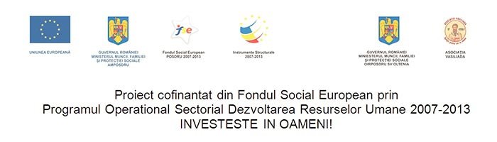 Contract de furnizare produse IT la Asociaţia Vasiliada 104989