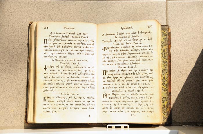 Duminica Floriilor, Duminica Împărăţiei 105063