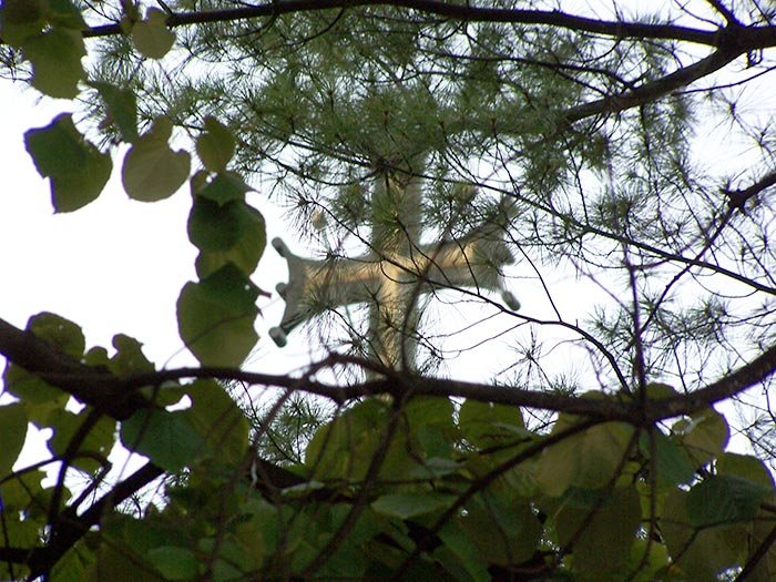 Despre moarte 105295