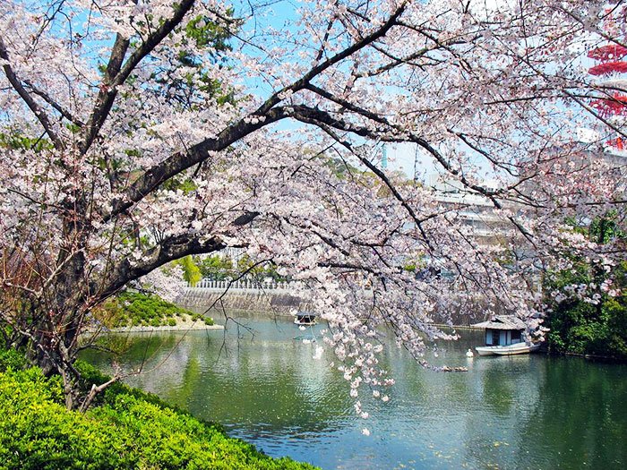 Răspunsuri duhovniceşti: „Dragostea nu cade niciodată“ 105318