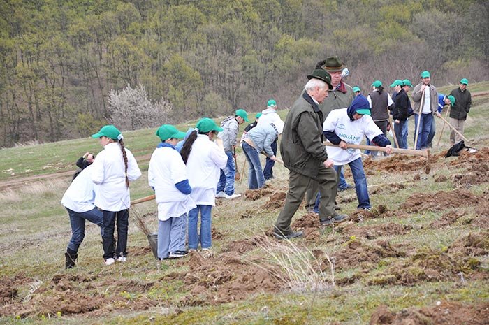 Campanie de împădurire în Oarda de Sus 105373