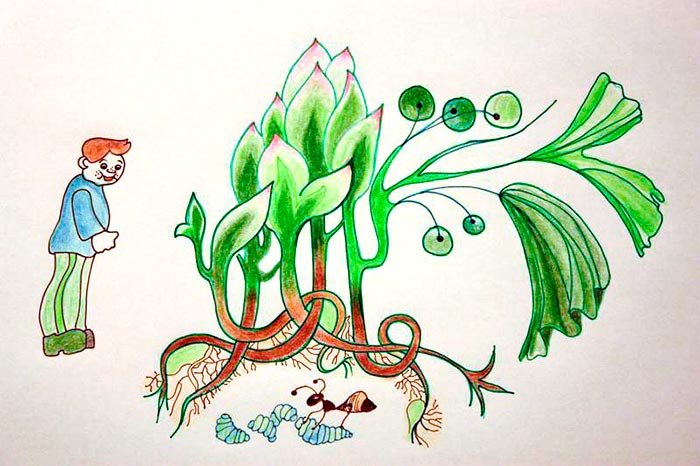 Învaţă de la furnică! 105531