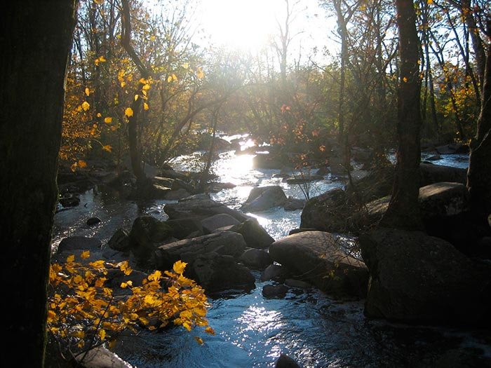 Ştiinţa nu poate dovedi inexistenţa lui Dumnezeu 105525