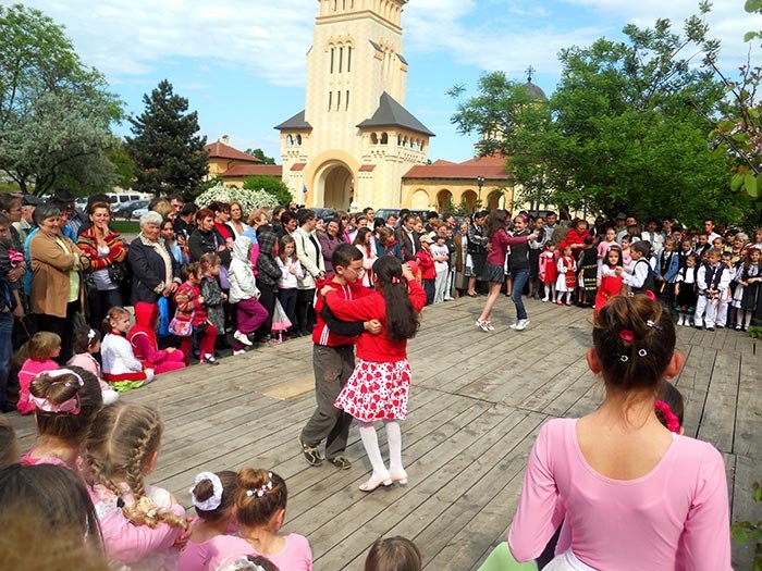 Acţiuni de voluntariat în Alba Iulia 105772