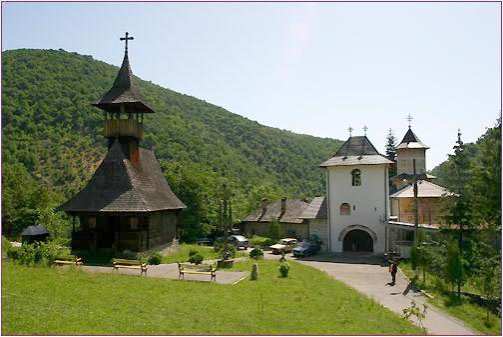 Adunarea Tinerilor Creştini Ortodocşi din Episcopia Severinului 106035