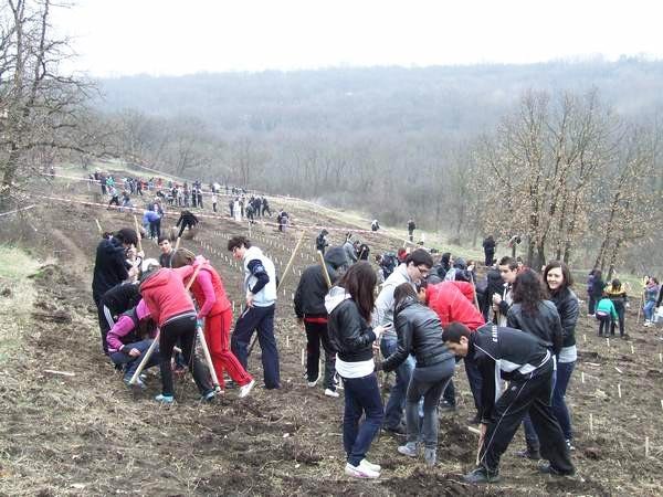 Voluntarii, oamenii care fac diferenţa 106052
