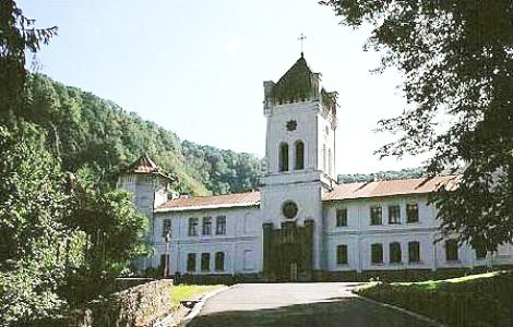 Mitropolitul de Kaessariani s-a întâlnit cu IPS Irineu 106102