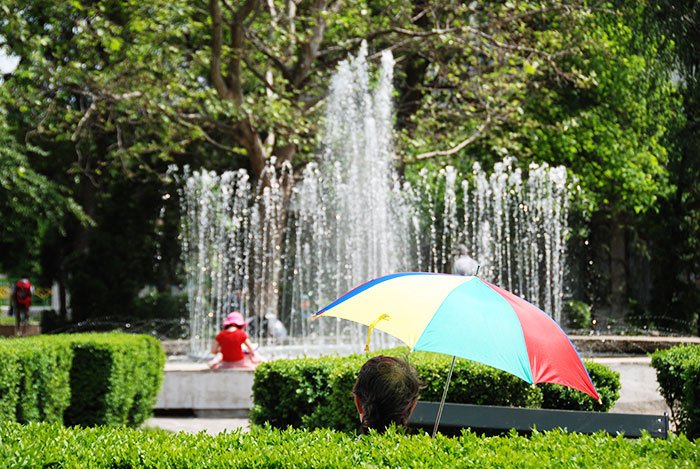 Temperaturi peste medie şi ploi puţine 106226