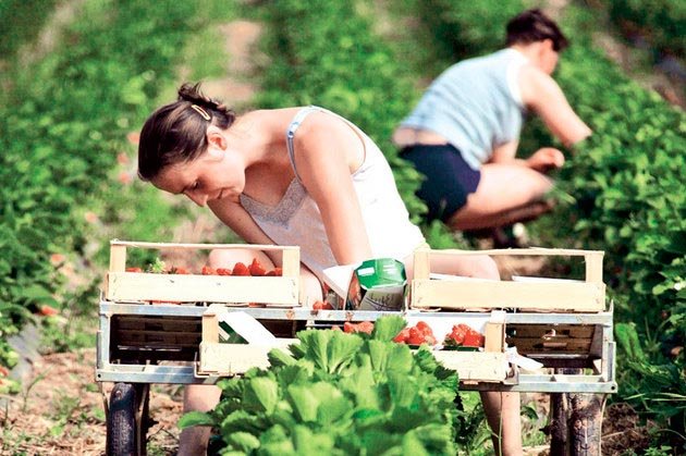 Românii exploataţi de români, în Spania 106264