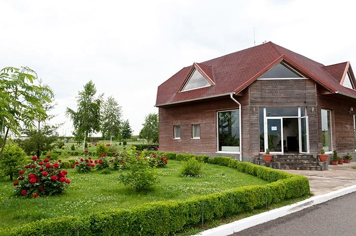 Cimitirul animalelor, în serviciul social al obştii 106358