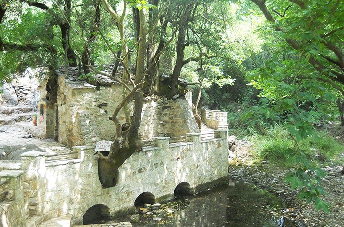 Biserica din acoperişul căreia a crescut o pădure 106715