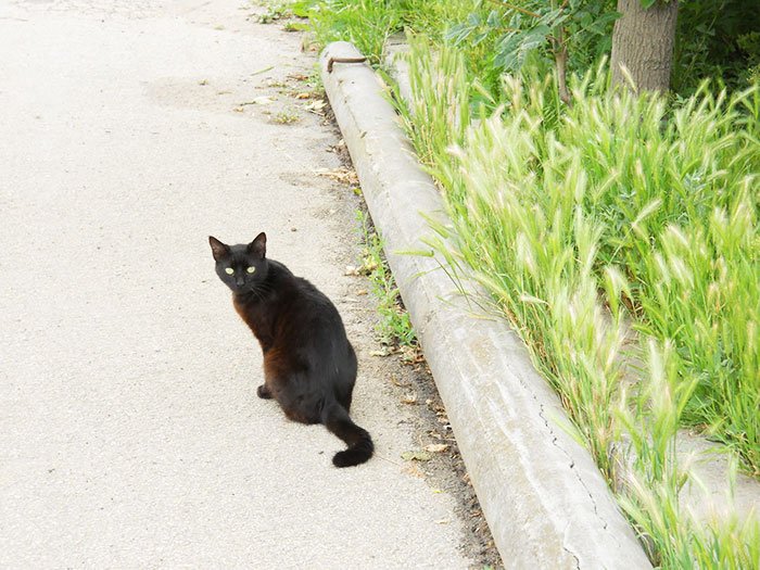 Ce sunt de fapt superstiţiile 106733