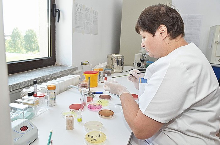 Tehnică inovatoare de cultivare a venelor umane în laborator 106949