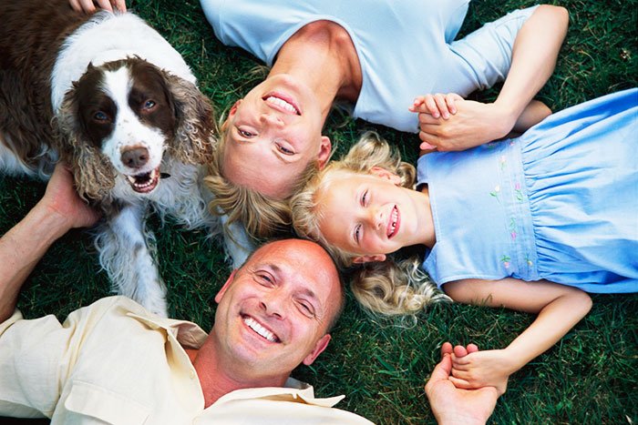 Animalele de companie şi folosul lor 106979