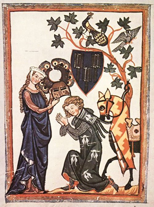 Cavalerul cu zale de aur 107089