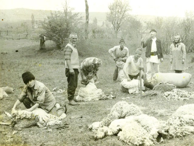 Transhumanţa în istoria neamului românesc 107088