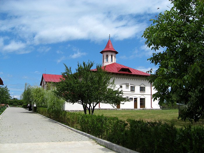 Dragostea de semeni ca terapie 107114