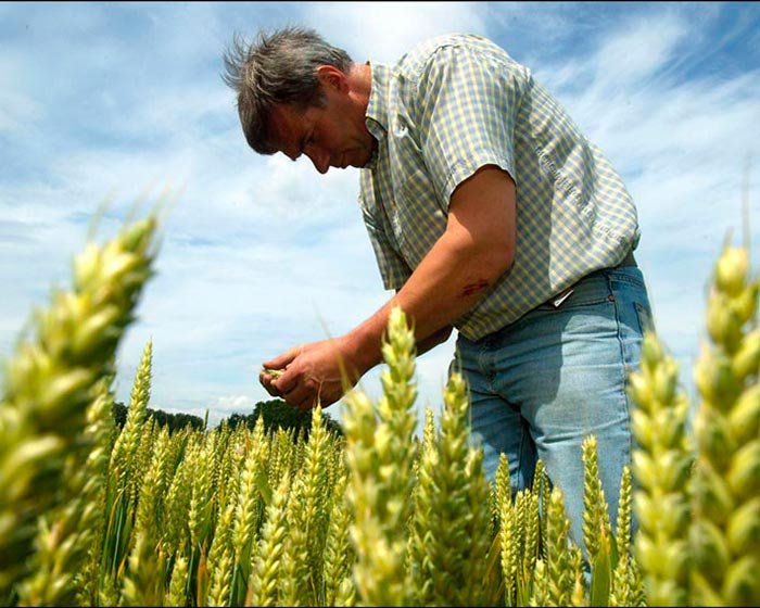 Agricultura, vitală pentru dezvoltarea României 107219