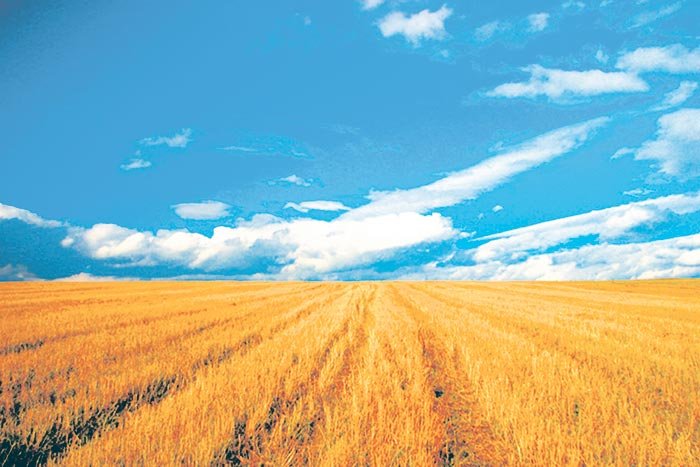 România - cea mai mare suprafaţă agricolă pe cap de locuitor 107334