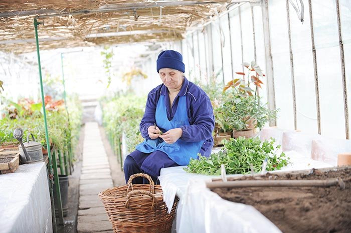 Vindecarea prin muncă 107323