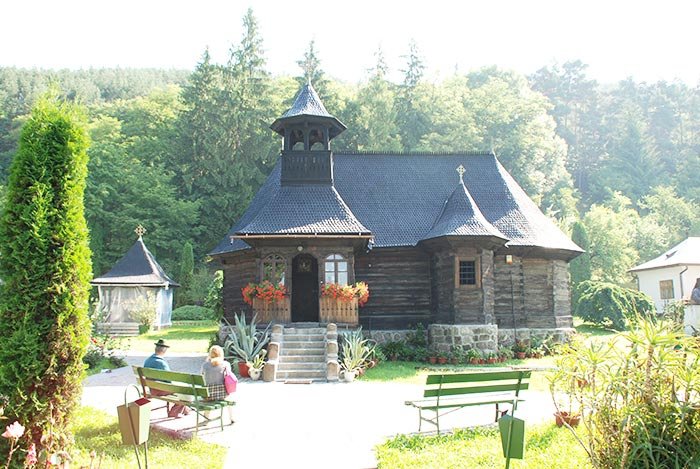 Umbra patriarhului Miron Cristea la Topliţa 107405