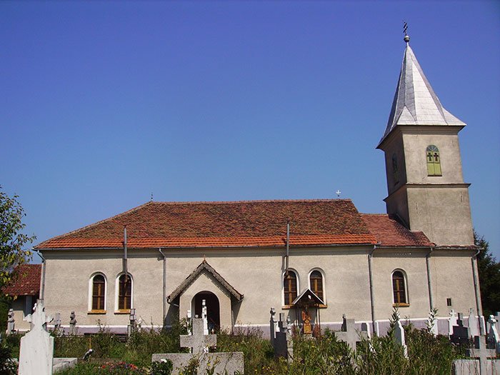 Andrei Şaguna şi românii hunedoreni 107460