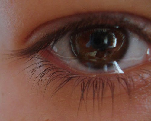 Medicament al tuturor patimilor 107600