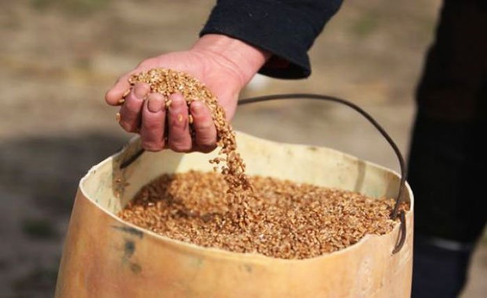 Isărescu face previziuni optimiste 107756