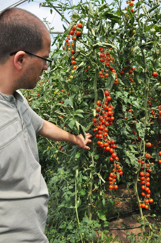 Roade bune ale pământului lucrat cu responsabilitate 107824