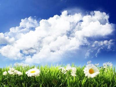 Laudă prejudecăţilor 107953