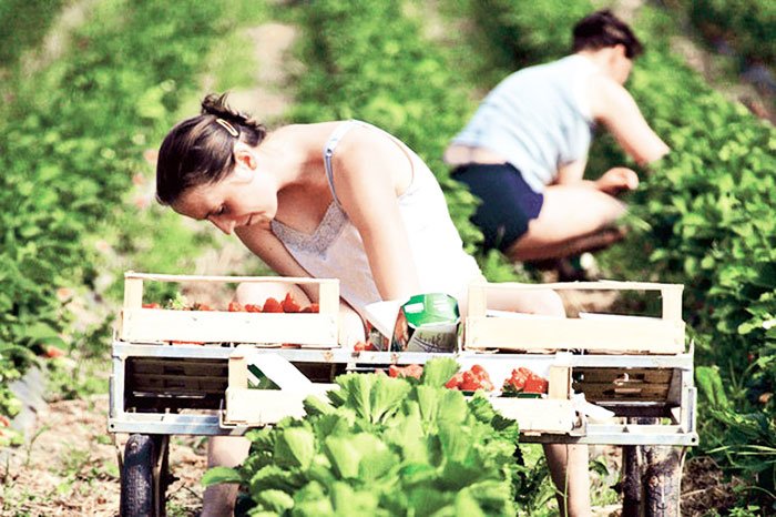 „Restricţiile afectează peste 50% dintre românii din Spania“ 107981