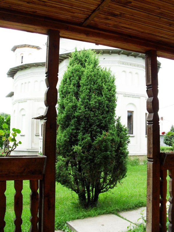 Cuvântul de la capătul lucrurilor 107997